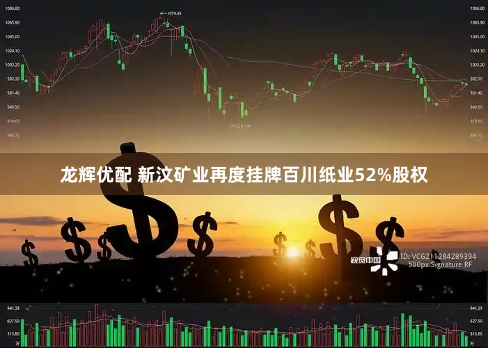 龙辉优配 新汶矿业再度挂牌百川纸业52%股权