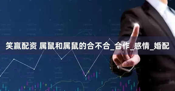 笑赢配资 属鼠和属鼠的合不合_合作_感情_婚配