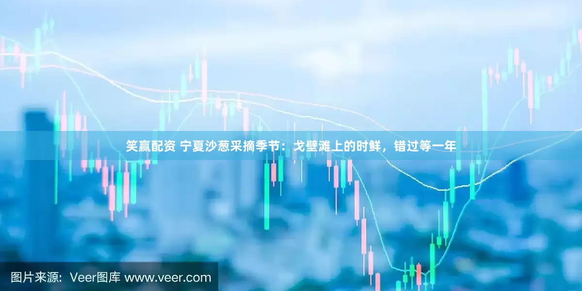 笑赢配资 宁夏沙葱采摘季节：戈壁滩上的时鲜，错过等一年